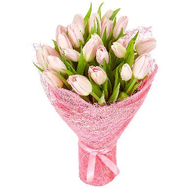 Букет из 25 тюльпанов "Розовые"