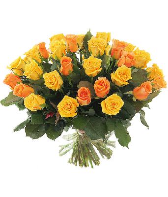 Роза Голландия 31 шт. - желтый и оранжевый